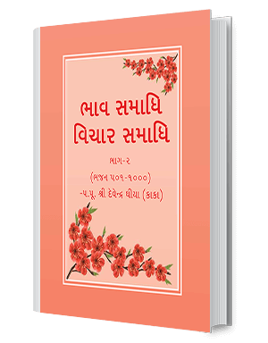 Bhaav Samadhi Vichaar Samadhi - Part 2