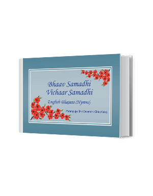 Bhaav Samadhi Vichaar Samadhi 